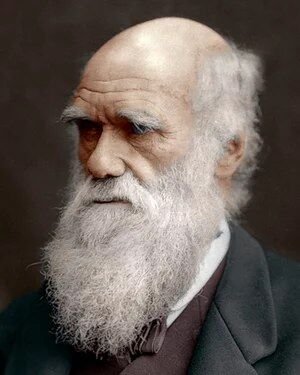 Colorized portrait of Charles Darwin, an older man with a long white beard.