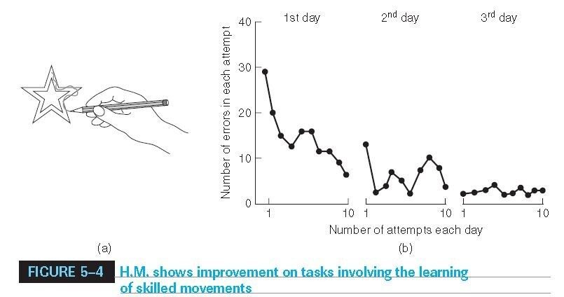 A graph titled 'H.M. shows improvement on tasks involving the learning of skilled movements,' showing errors per attempt dropping across the 1st, 2nd, and 3rd days.