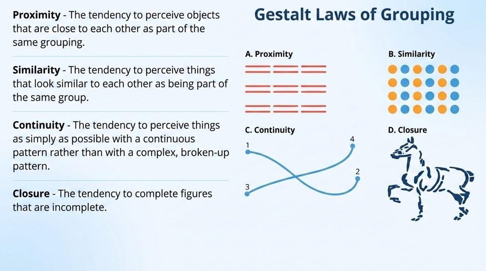 Slide titled Gestalt Laws of Grouping with definitions and examples. Proximity: rows of dashes grouped by spacing. Similarity: a grid of dots grouped by color. Continuity: a smooth curve seen as one line rather than segments. Closure: a horse outlined by broken lines that the mind completes.