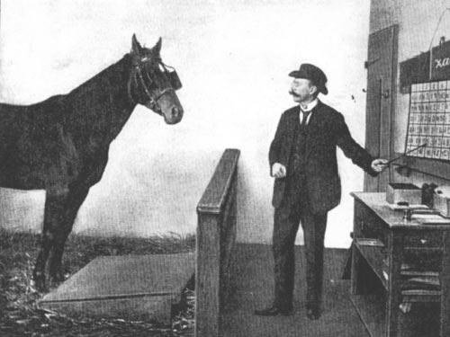Historic photograph of Clever Hans, a horse, facing his owner Wilhelm von Osten beside a number board in a study room.