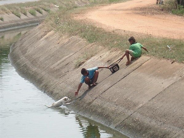 Two children lean down a steep concrete canal bank, one reaching out to pull a small dog from the water.