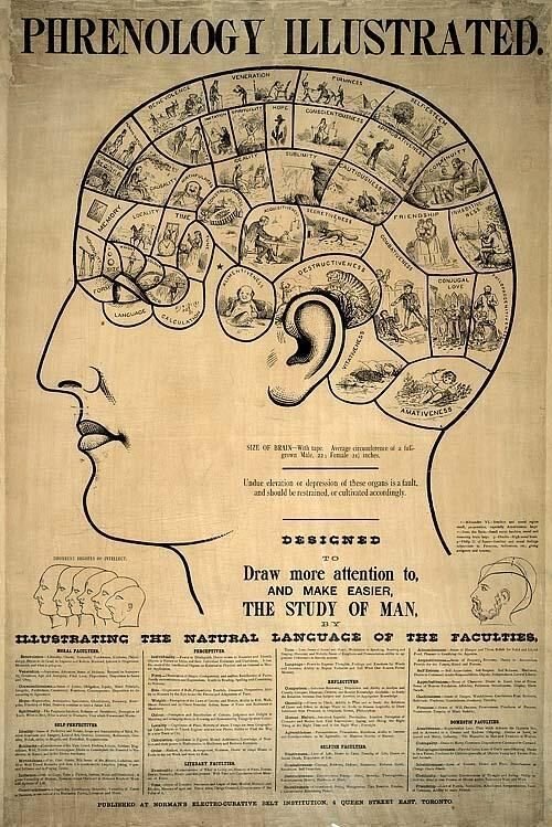 A vintage 'Phrenology Illustrated' poster showing a side view of a head divided into labeled regions for character faculties.