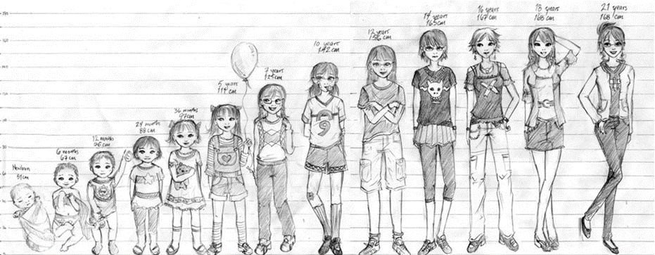 Illustration of the human body growing in stages from infant to fully grown adult, shown against a height scale.