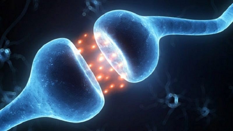 Stylized image of two neurons meeting with neurotransmitters crossing the synaptic gap.