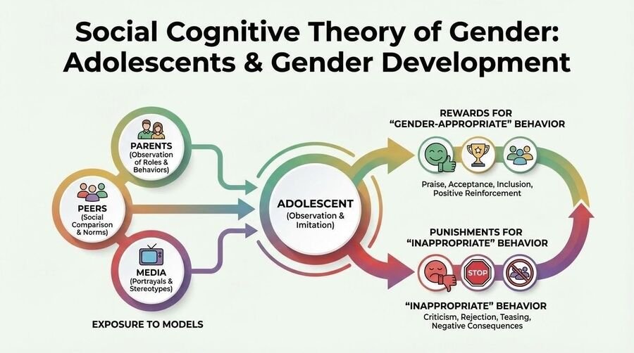 Diagram of social cognitive theory of gender: parents, peers, and media as models the adolescent observes and imitates, with rewards for gender-appropriate behavior and punishments for inappropriate behavior.