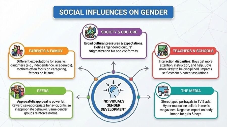 Diagram of social influences on gender development: society and culture, parents and family, teachers and schools, peers, and the media surrounding the individual.
