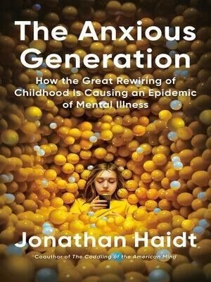 Cover of the book The Anxious Generation by Jonathan Haidt, showing a girl looking at a phone in a pit of yellow balls.