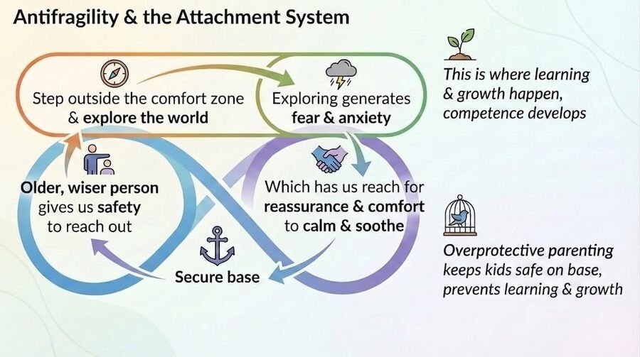 Diagram linking antifragility and the attachment system: exploring generates fear, a secure base offers comfort, and overprotection prevents growth.