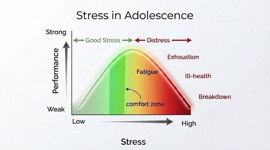 Inverted-U graph of performance against stress: good stress rises to a comfort zone, then distress leads to fatigue, exhaustion, ill-health, and breakdown.