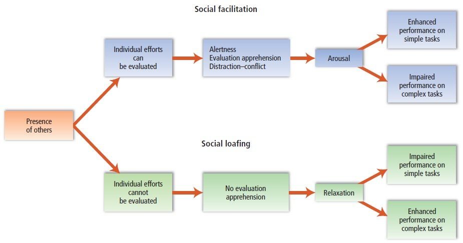 Flow diagram of social facilitation and social loafing. Presence of others splits into two branches. When individual efforts can be evaluated: alertness, evaluation apprehension, and distraction-conflict raise arousal, which enhances performance on simple tasks and impairs it on complex tasks. When individual efforts cannot be evaluated: no evaluation apprehension leads to relaxation, which impairs performance on simple tasks and enhances it on complex tasks.