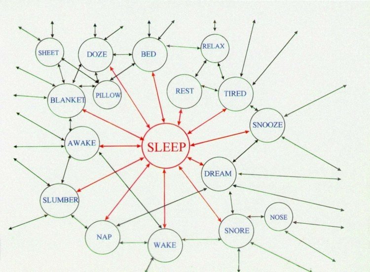 A semantic network drawn as a web of labeled circles. SLEEP sits at the center with red arrows to its close associates: bed, rest, tired, dream, awake, snooze, nap, wake, snore, slumber, pillow, doze. Those nodes link onward to blanket, sheet, relax, nose, and to further nodes off the edge of the diagram.